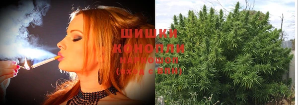 крисы Киреевск